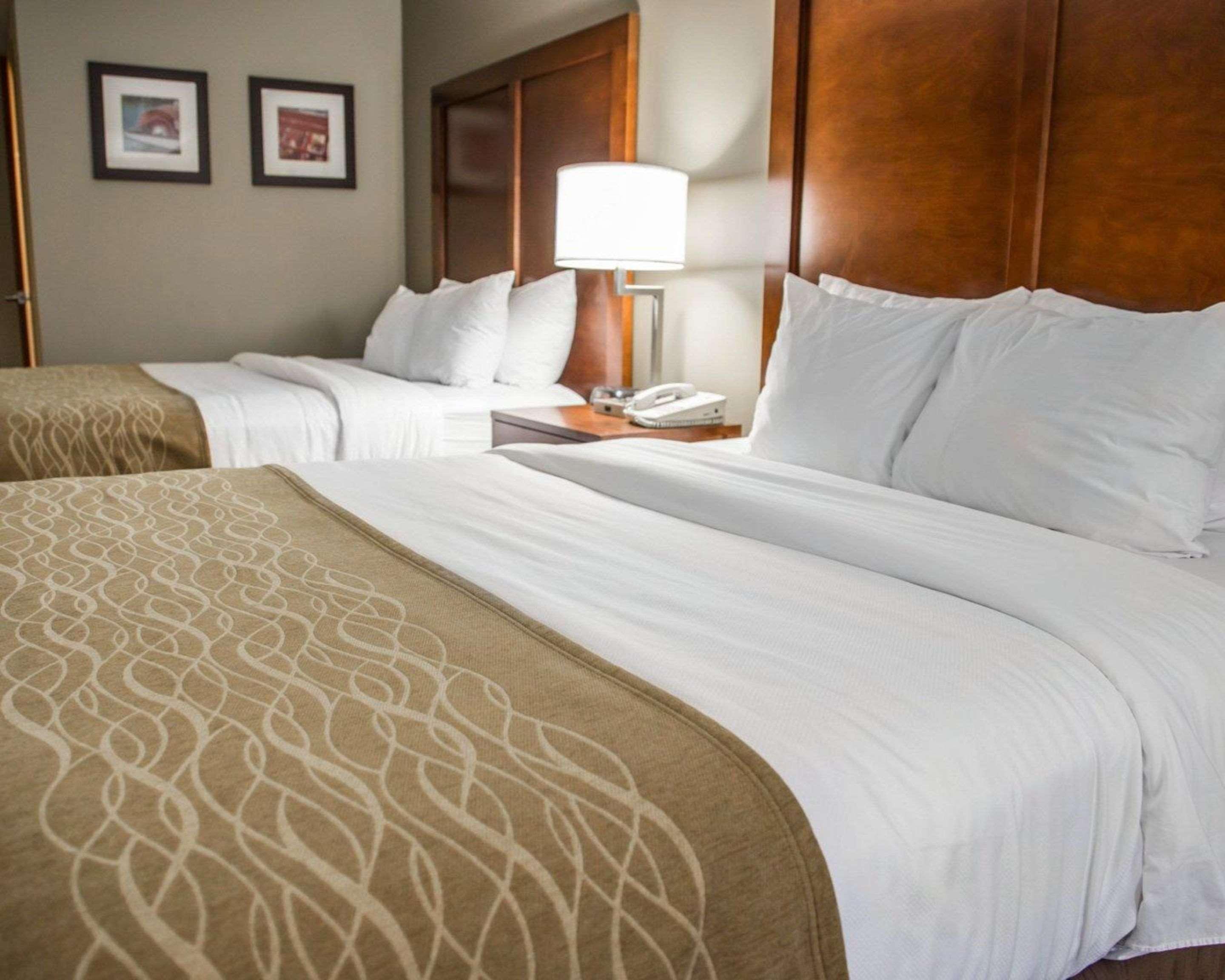 Comfort Inn & Suites Riverview Near Davenport And I-80 Le Claire Esterno foto
